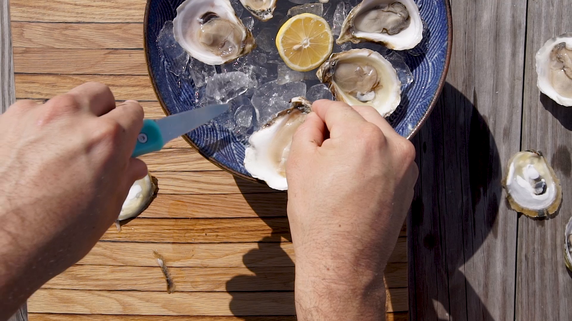 Amazon.com: Toadfish Oyster Shucking Knife, Oyster Opener Tool